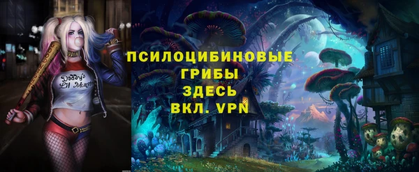 соль ск Абаза